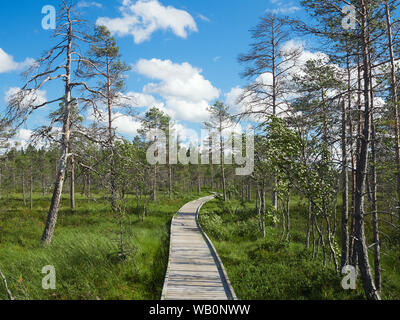 Paesaggio a nord dalla Kauhaneva-Pohjankangas parco nazionale in Finlandia. Foto Stock