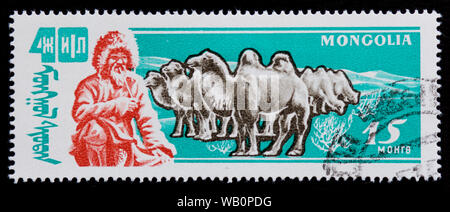Mongolia Francobollo - Bactrian Camel (Camelus bactrianus) Foto Stock
