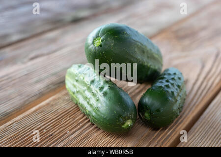 Fresche biologiche mini baby cetrioli pronto a mangiare su un tavolo di legno. close up Foto Stock