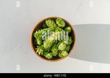 Il luppolo in ciotola di legno su cemento grigio Sfondo. Close up di nuove sementi di coni di luppolo, Humulus lupulus. Vista superiore Foto Stock