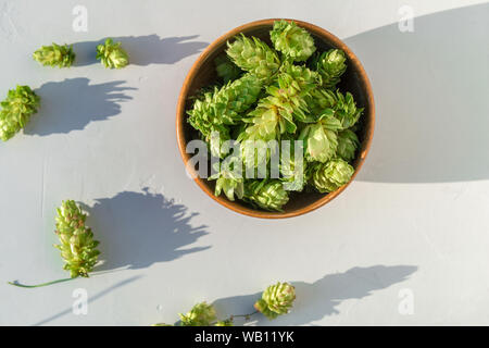 Il luppolo in ciotola di legno su cemento grigio Sfondo. Close up di nuove sementi di coni di luppolo, Humulus lupulus. Vista superiore Foto Stock