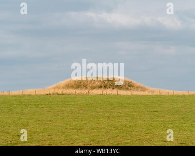 Mound (Barrow). Uno del cursus carriole, un Neolitico e dell'Età del Bronzo round barrow cimitero situato prevalentemente a sud dell'estremità occidentale di Stonehenge Foto Stock