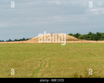 Mound (Barrow). Uno del cursus carriole, un Neolitico e dell'Età del Bronzo round barrow cimitero situato prevalentemente a sud dell'estremità occidentale di Stonehenge Foto Stock