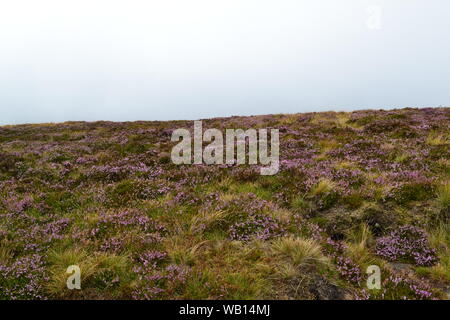 Viste di Brecon Beacon montagne sul percorso da Cwm Gwdi al picco di Pen-y-ventola, il picco più alto nel sud del Regno Unito il giorno nuvoloso con bassa visibilità Foto Stock