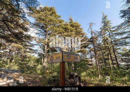 Sentieri escursionistici signpost Tannourine nella foresta di cedro Riserva Naturale, Libano Foto Stock