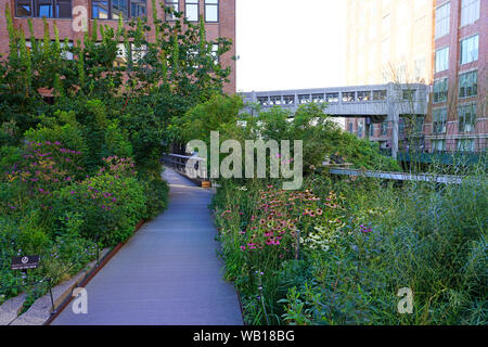 NEW YORK CITY, NY -11 agosto 2019- Vista della linea alta, un elevato verde parco urbano che corre lungo il vecchio tracciato ferroviario linee nella parte inferiore di Manhattan, New York ci Foto Stock