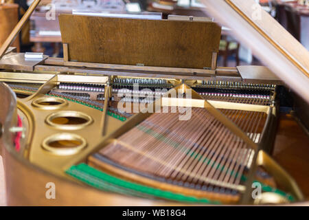 Classico interno e Golden stringhe di pianoforte visto da sopra. Foto Stock