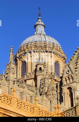 Salamanca, Spagna. La storica città universitaria e intricata architettura della cattedrale. UNESCO - Sito Patrimonio dell'umanità. Foto Stock