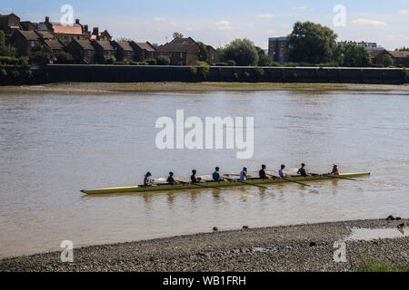 Putney, Londra, Regno Unito. Il 23 agosto 2019. I rematori godendo il sole sul Fiume Tamigi con la bassa marea come temperature calde sono previsioni per il weekend festivo Credito: amer ghazzal/Alamy Live News Foto Stock