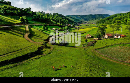 (190823) -- PECHINO, Agosto 23, 2019 (Xinhua) -- foto aerea adottate il 12 giugno 2019 mostra la vista della prateria Guanshan a Longxian County in Baoji, Cina nord-occidentale della provincia di Shaanxi. Come una terra-bloccato, provincia di Shaanxi e si allunga la zone di drenaggio del fiume Yangtze e il fiume Giallo, i due fiumi più lunghi in Cina. Esso vanta di parti principali delle montagne Qinling, uno della biodiversità hotspot nel mondo, dividendo il nord zone temperate da subtropicale. Nel frattempo, Shaanxi è habitat di rari animali protetti. Negli ultimi anni, provincia di Shaanxi è stato ecologico di promozione Foto Stock