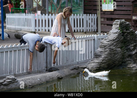 Due ragazzi e la donna l'alimentazione degli animali fuori delle loro mani in un zoo. Il 2 agosto 2019. A Kiev, Ucraina Foto Stock
