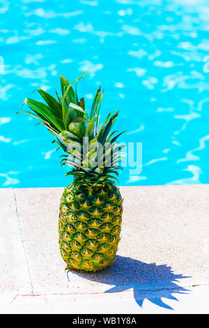 Un ananas sul bordo di una piscina. In estate il concetto di cibo, freschi e sani Foto Stock