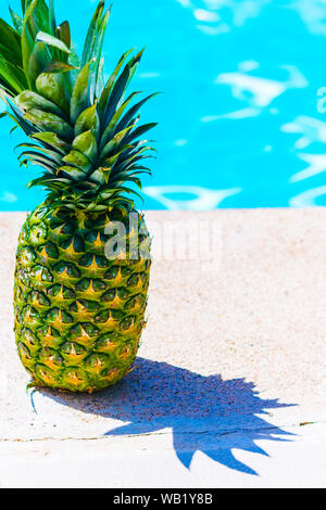 Un ananas sul bordo di una piscina. In estate il concetto di cibo, freschi e sani Foto Stock