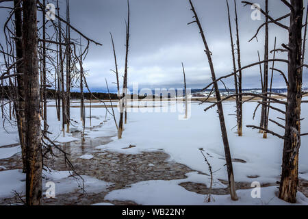 Un inverno freddo vista nel Parco Nazionale di Yellowstone, Wyoming USA Foto Stock