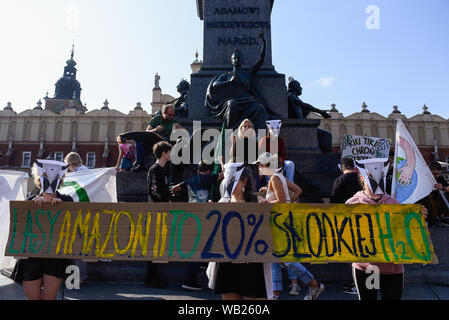 Persone tengono striscioni, bandiere e cartelli durante una manifestazione di protesta esigente in materia di lotta contro i devastanti incendi il brasiliano della foresta amazzonica presso la piazza principale.L'Istituto nazionale per la ricerca spaziale (Inpe) detto suo satellite dati mostravano un 84% di aumento degli incendi rispetto allo stesso periodo del 2018. La più grande foresta pluviale al mondo è di fondamentale importanza conservare di carbonio che rallenta il ritmo del riscaldamento globale. Il Presidente francese Emmanuel Macron sostenuto dal Cancelliere tedesco Angela Merkel chiamata a mettere gli incendi in Amazzonia all' ordine del giorno del prossimo vertice G7. Foto Stock