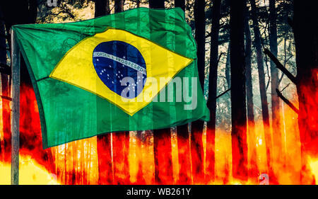 Infuria la pineta il fuoco con bandiera brasiliana sul primo piano - Amazon concetto di masterizzazione Foto Stock