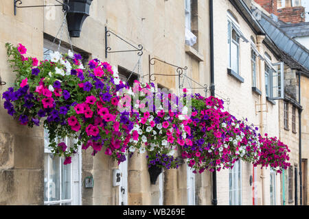 Fiori di petunia in cestelli appesi di fronte a cotswold case di pietra in Winchcombe, Cotswolds, Gloucestershire, Inghilterra Foto Stock