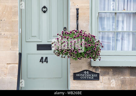 La Petunia Cascadia Rim fiori di magenta in una cesta appesa di fronte a una pietra di Cotswold House di Winchcombe, Cotswolds, Gloucestershire, Inghilterra Foto Stock