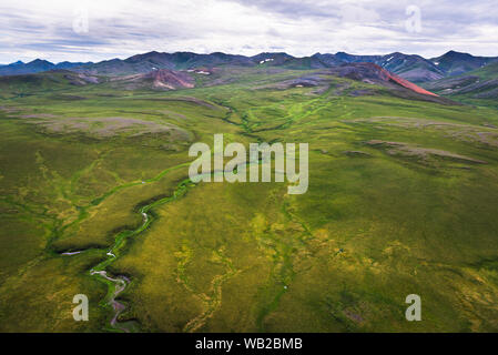 Yukon, Canada - 21 Luglio 2016: Il Porcupine Caribou herd estate migrazione attraverso Yukon artico del pendio nord della regione. Foto Stock