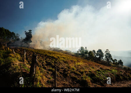 Il fuoco su un pascolo recintato radura il brasiliano della foresta pluviale atlantica Foto Stock
