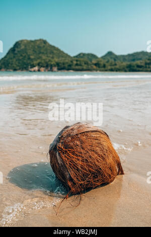 Wild il cocco sulla spiaggia in onde del mare Foto Stock