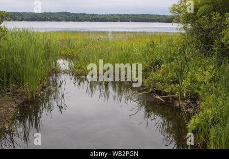 Mirror Lake è situato nella parte occidentale di Tuftonborough, nel centro del New Hampshire. In primo luogo di una località di villeggiatura con un sacco di sport acquatici e turisti troppo. Foto Stock