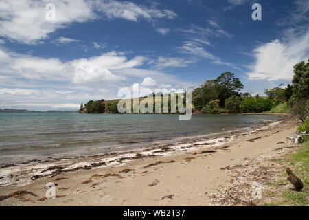 Algies Bay sulla costa Matakana vicino a Snells Beach. Giornata di sole dopo una tempesta. Le alghe e detriti lavato fino a terra. Nuvole nel cielo, giornata d'estate. Ricreazione Foto Stock