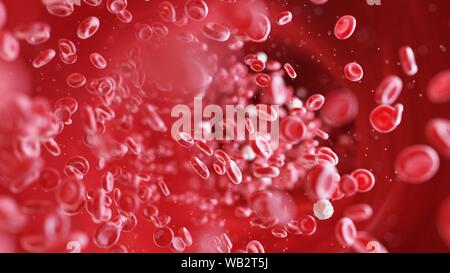Le cellule del sangue, illustrazione del computer. Foto Stock