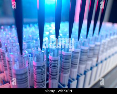 Automatizzate il campione di sangue i test in laboratorio per lo screening sanitario. Foto Stock