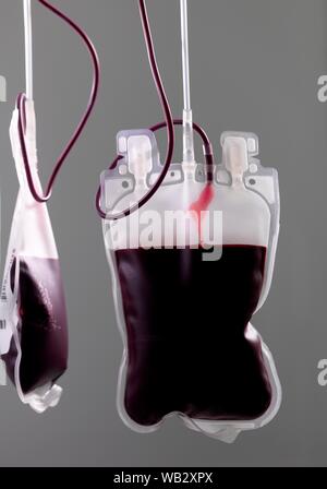 Il sangue del donatore di elaborazione. Il donatore il sangue viene separato nei suoi componenti. Foto Stock