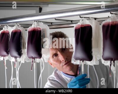 Il sangue del donatore di elaborazione. Il donatore il sangue viene separato nei suoi componenti. Foto Stock