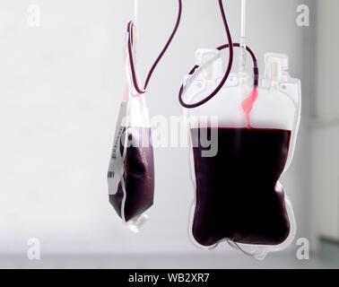 Il sangue del donatore di elaborazione. Il donatore il sangue viene separato nei suoi componenti. Foto Stock