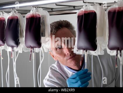 Il sangue del donatore di elaborazione. Il donatore il sangue viene separato nei suoi componenti. Foto Stock