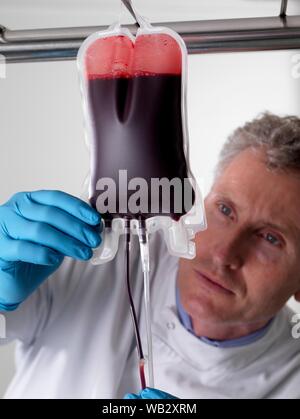 Il sangue del donatore di elaborazione. Il donatore il sangue viene separato nei suoi componenti. Foto Stock
