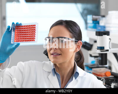 Test del sangue. Scienziato di esaminare i campioni di sangue in una piastra a cavità multiple. Foto Stock