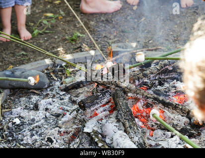 I bambini la tostatura marshmallow su un fuoco aperto. Free range bambini supervisionato e libero di esplorare. L'immagine mostra i piedi per bambini, canne di bambù, marshmallow Foto Stock