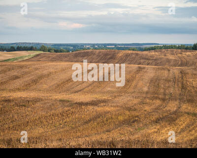 Vista sulle colline e campi dopo la falciatura del grano durante l'estate il tramonto. Warmia e Masuria. Polonia Foto Stock