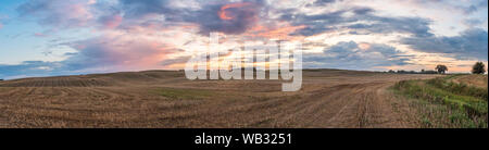 Vista panoramica delle colline e campi dopo la falciatura del grano durante l'estate il tramonto. Warmia e Masuria. Polonia Foto Stock