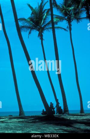 Immagine verticale di persone vicino alle palme e al Benin spiaggia con un cielo blu sullo sfondo Foto Stock