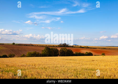 La famosa montagna su Rip orizzonte. Il campo dopo la raccolta in giornata di sole. Immagine con falciate campo di grano sotto il giorno di sole. Repubblica ceca Foto Stock