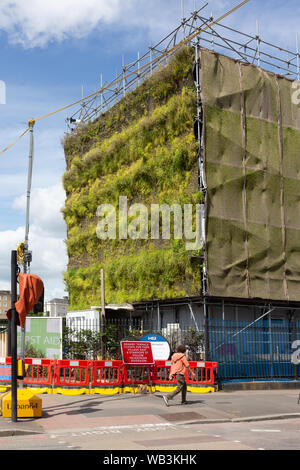 Soggiorno parete verde, Hampstead Road, Camden, London, Regno Unito Foto Stock