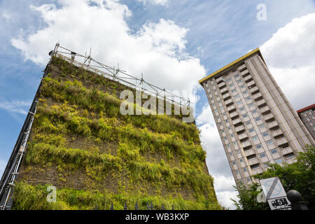 Soggiorno parete verde, Hampstead Road, Camden, London, Regno Unito Foto Stock