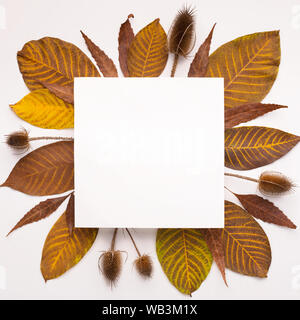 Marrone noce foglie formando cornice quadrata Foto Stock