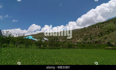 Foto del villaggio circondato da fattoria in Ladakh Foto Stock