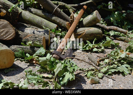 Ascia di guerra per la trinciatura di legna da ardere per l'inverno Foto Stock