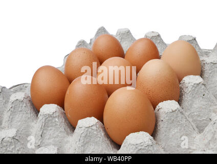 Nove uova di gallina nel vassoio delle uova su sfondo bianco , cibo estremamente nutritivo da volatili da cortile Foto Stock