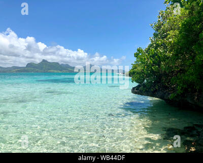 Ile aux egrette con vista sulla montagna di Lion sull'Isola Mauritius Foto Stock