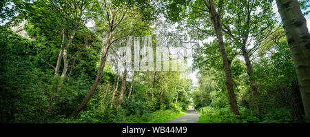 Edinburgh, Regno Unito. Ven 23 agosto 2019. Artista Lucia Wayman nuove sculture pubbliche per la ciclabile vicino ad Edinburgo atelier di scultura come parte del 2019 Edinburgh Festival dell'arte. Wayman in pratica fa uso di tecniche artigianali, come la tessitura, annodamento e macramé, ma in scala e con un dinamismo che sorprese. Questa è Lucy Wayman del primo grande commissione esterna ed è supportato da Sustrans, attraverso il loro programma ArtRoots. Esso resterà al di sopra del percorso fino a maggio 2020. Foto Stock