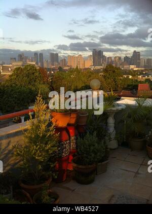 Immagine verticale di un balcone con pentole di piante e vista dell'edificio cittadino in lontananza Foto Stock