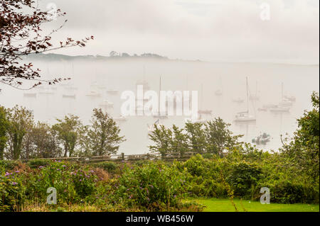 Schull, West Cork, Irlanda. 24 Ago, 2019. La nebbia avvolge le barche in Schull Harbour su un nuvoloso ma giorno umido in West Cork. La pioggia si sposta nell'area di questo pomeriggio con alti da 17 a 19C. Credito: Andy Gibson/Alamy Live News Foto Stock